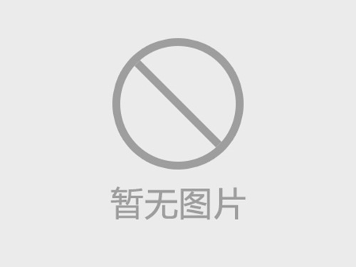 色选机